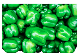 Green Bell Pepper