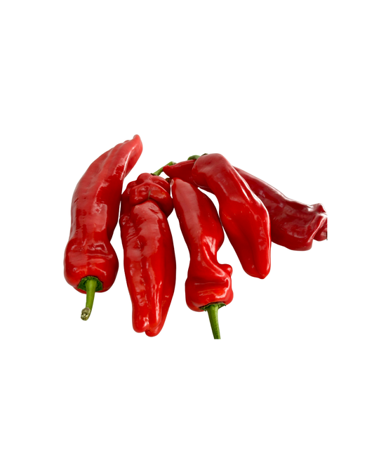 Fresh Long Pointed Pepper - Tatashe