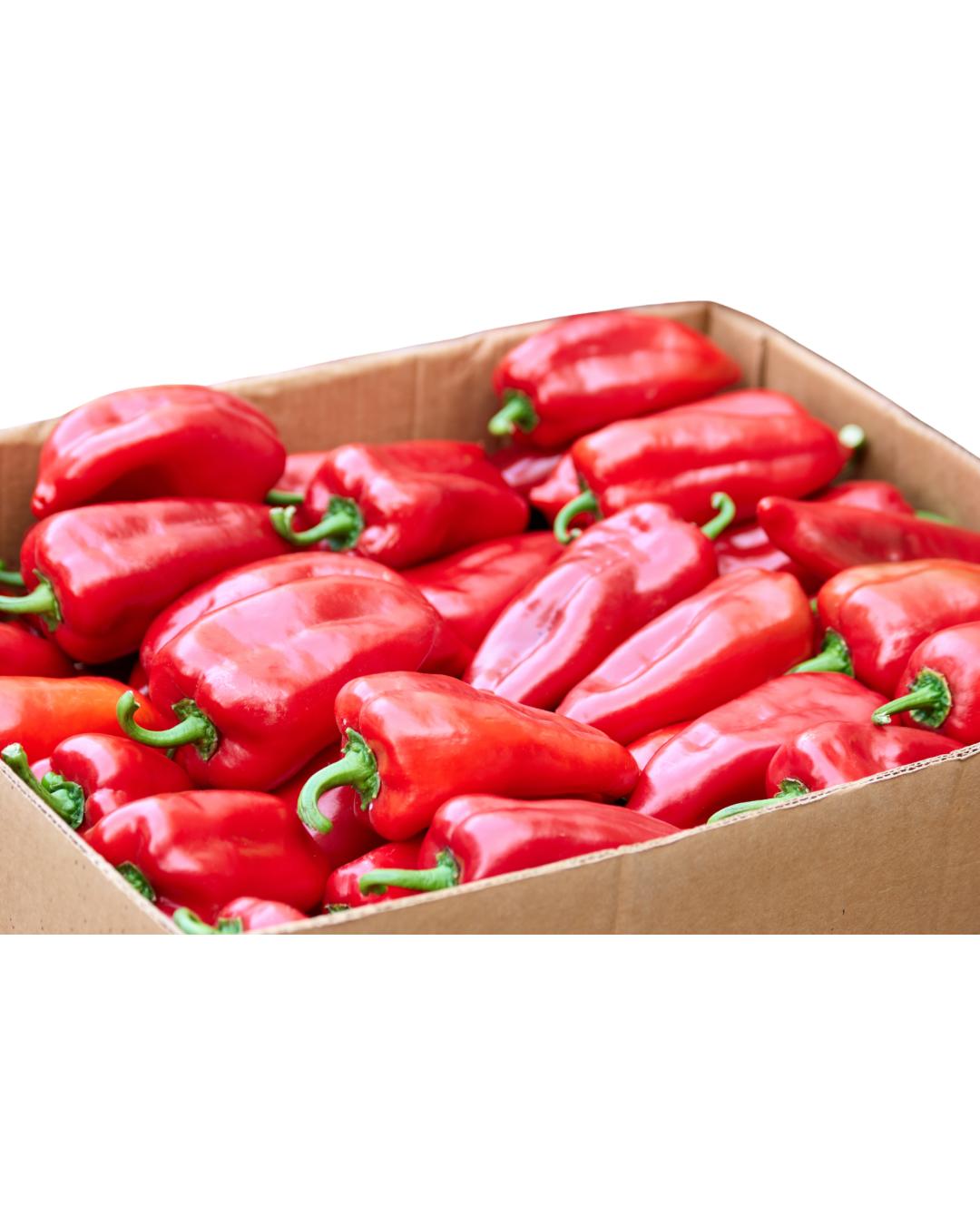 Fresh Long Pointed Pepper - Tatashe