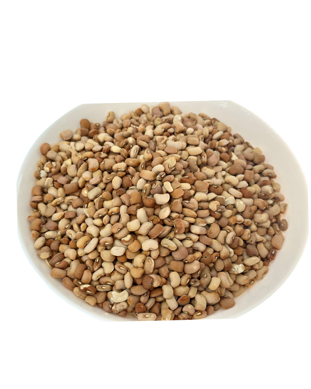 Brown Honey Beans