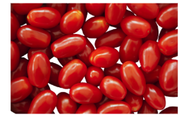 Plum Tomatoes