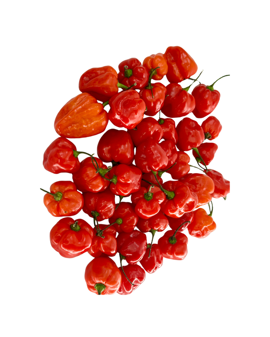 Scotch Bonnet - Ata rodo