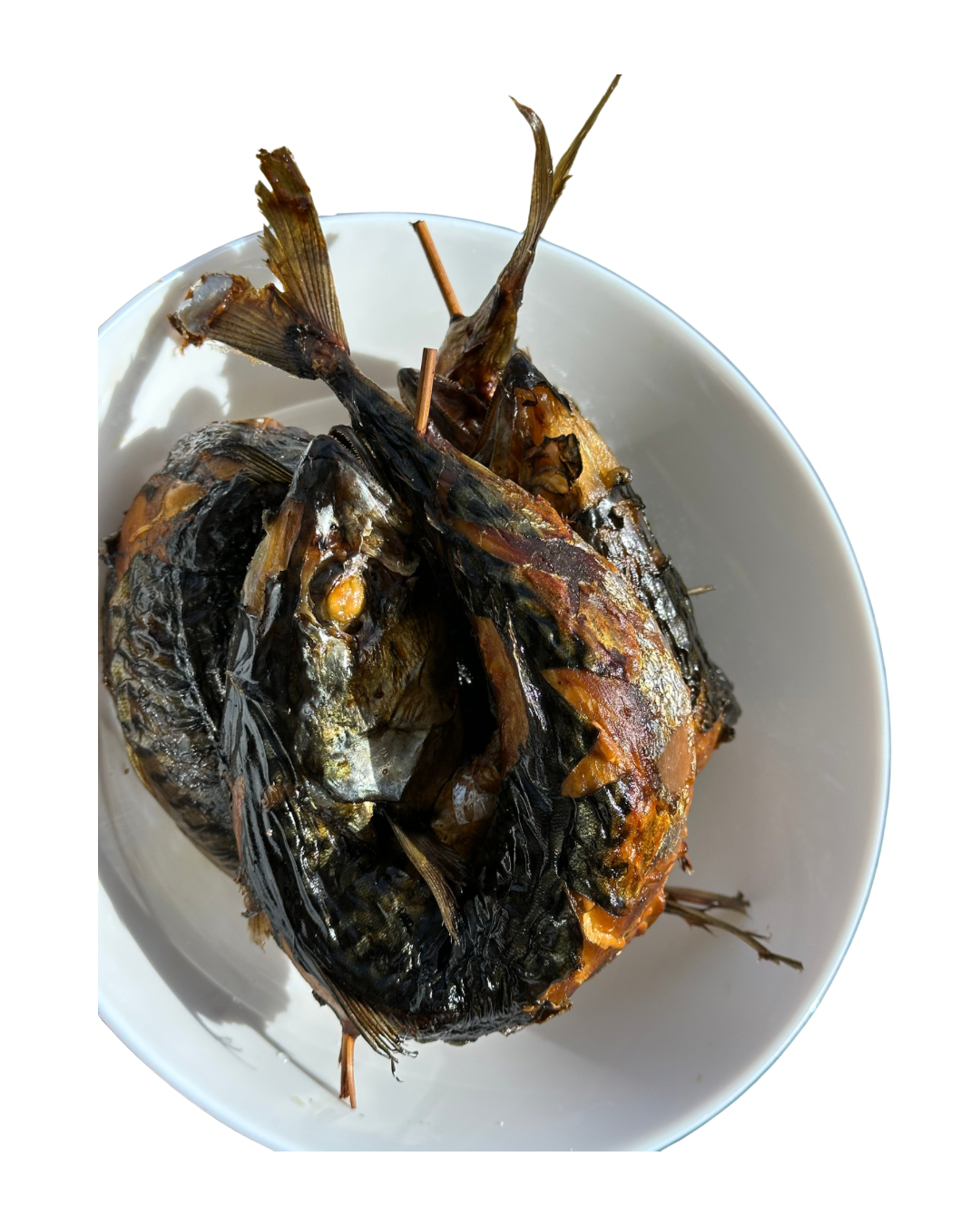 Smoked Mackerel Fish