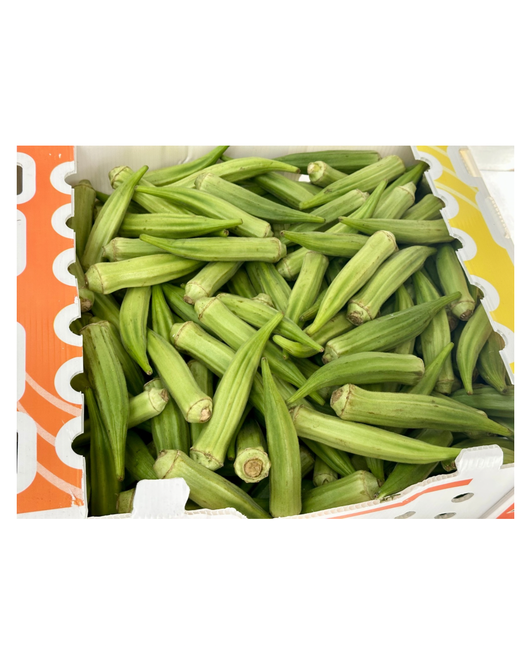 Fresh Okra - Lady's Finger